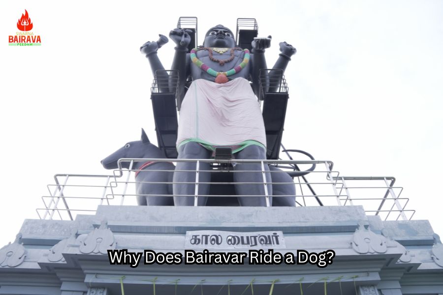 Why Does Bairavar Ride a Dog?