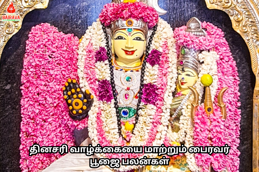 தினசரி வாழ்க்கையை மாற்றும் பைரவர் பூஜை பலன்கள்