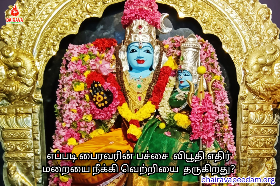 எப்படிபைரவரின்பச்சைவிபூதிஎதிர்மறையைநீக்கிவெற்றியைதருகிறது