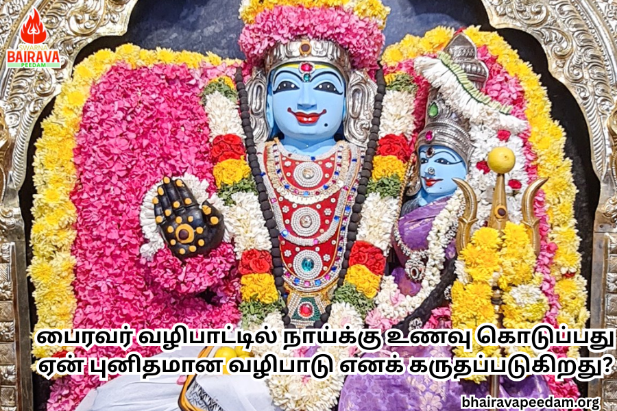 பைரவர்வழிபாட்டில்நாய்க்குஉணவுகொடுப்பதுஏன்புனிதமானவழிபாடுஎனக்கருதப்படுகிறது?